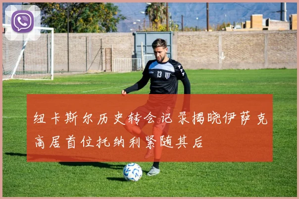 纽卡斯尔历史转会记录揭晓伊萨克高居首位托纳利紧随其后