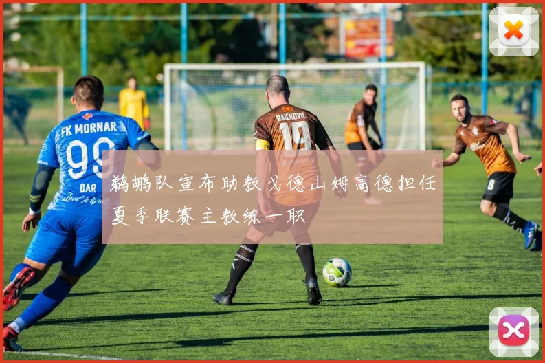鹈鹕队宣布助教戈德山姆高德担任夏季联赛主教练一职